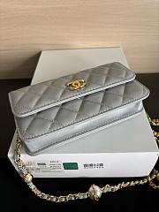 Colestore Chanel Wallet on Chain (WOC) in Grey with Gold Hardware 17cm - 6
