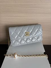 Colestore Chanel Wallet on Chain (WOC) in Grey with Gold Hardware 17cm - 4