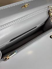 Colestore Chanel Wallet on Chain (WOC) in Grey with Gold Hardware 17cm - 3