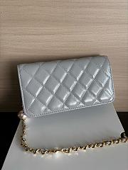 Colestore Chanel Wallet on Chain (WOC) in Grey with Gold Hardware 17cm - 2