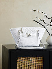 Colestore Chanel Shopping Bag White raffia & White leather (Cruise 25/26) 14x39x22cm - 1