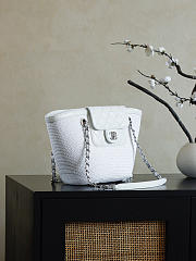 Colestore Chanel Shopping Bag White raffia & White leather (Cruise 25/26) 14x39x22cm - 4