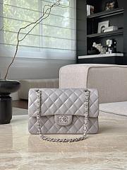 	 Colestore Chanel Light Grey Quilted Lambskin Leather Classic 14.5x23x6cm - 1