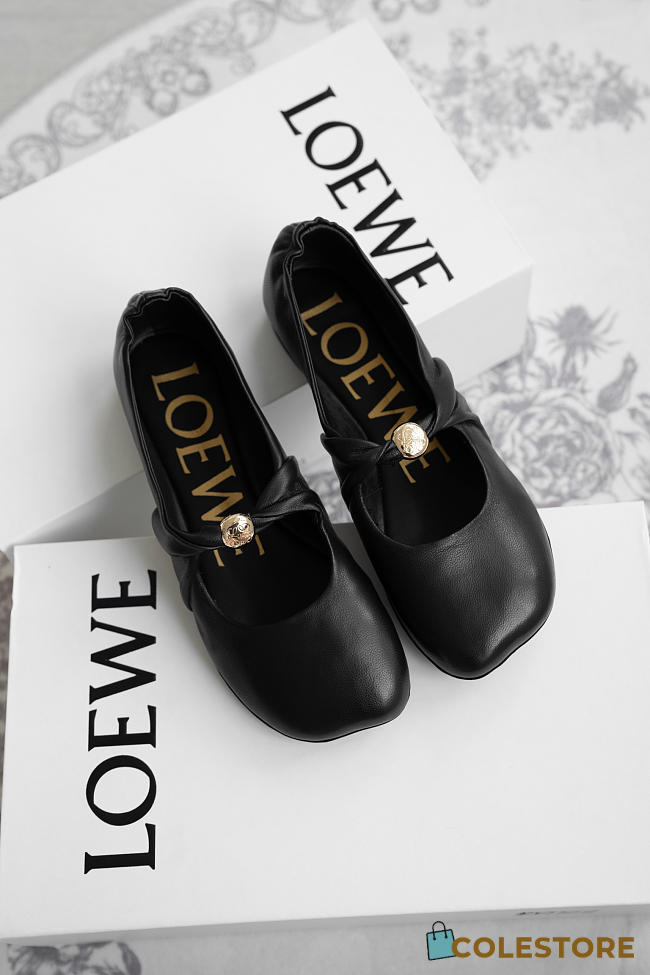 Colestore Loewe Pebble Soft Ballet Flats Black  - 1