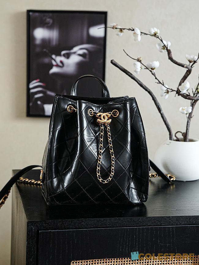 Colestore Chanel 25 Medium Backpack Lambskin & Gold Metal Black 23x23x14cm - 1