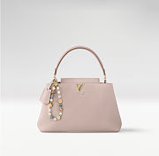 Colestore Louis Vuitton Capucines MM Souple Walnut Greige 33 x 24 x 12 cm - 1