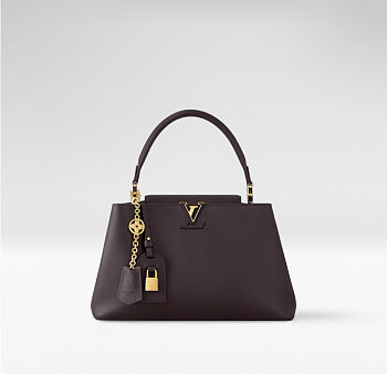 Colestore Louis Vuitton Capucines MM Souple Calfskin Leather Chocolate 33 x 24 x 12 cm