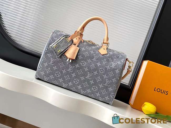 Colestore Louis Vuitton Speedy Soft 30 Washed Gray 30 x 21 x 17 cm - 1