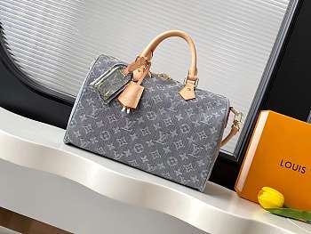 Colestore Louis Vuitton Speedy Soft 30 Washed Gray 30 x 21 x 17 cm