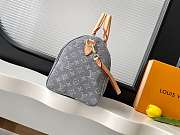 Colestore Louis Vuitton Speedy Soft 30 Washed Gray 30 x 21 x 17 cm - 6
