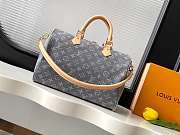 Colestore Louis Vuitton Speedy Soft 30 Washed Gray 30 x 21 x 17 cm - 4