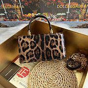 Colestore Dolce & Gabbana DG Girls Leopard-Print Crossbody Bag 18x10x5cm - 3