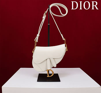 Colestore Dior Mini Soft Saddle Bag with Strap Latte Vintage Smooth Calfskin  20 x 14 x 6 cm