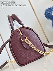 Colestore Louis Vuitton Speedy Bandouliere 20 Garnet 13.5 x 12 x 20.5cm - 5
