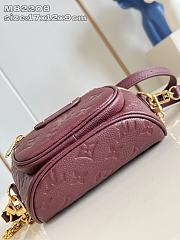 Colestore Louis Vuitton Mini Bumbag Garnet 17 x 12 x 9.5cm - 5