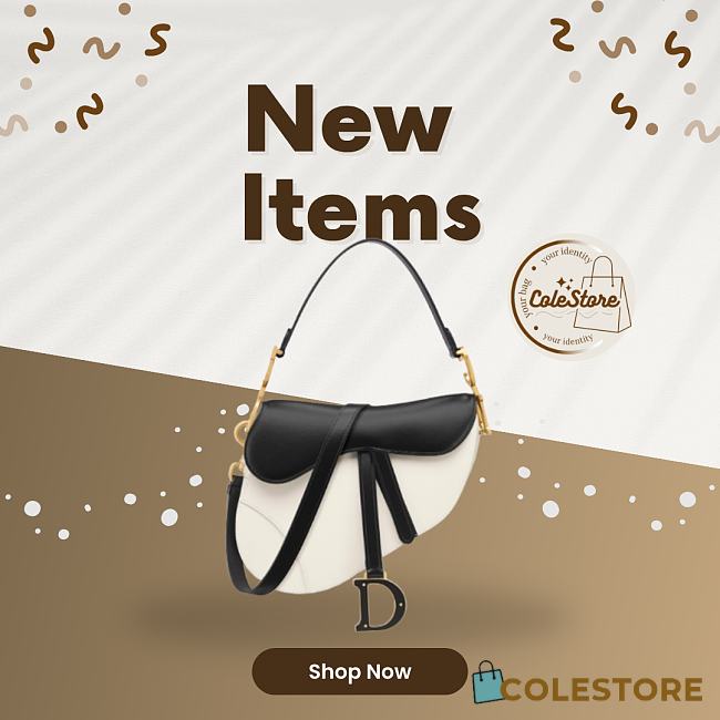Colestore Dior Saddle Bag with Strap Two-Tone Latte and Black Supple Calfskin 25.5 x 20 x 6.5 cm - 1