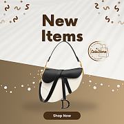 Colestore Dior Saddle Bag with Strap Two-Tone Latte and Black Supple Calfskin 25.5 x 20 x 6.5 cm - 1