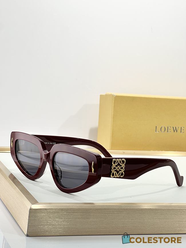 Colestore Loewe Small Butterfly Screen sunglasses - 1