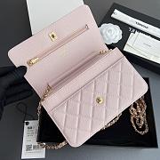 	 Colestore Chanel Classic Wallet with Strap Grained calfskin & Gold metal Light Pink 20x13x3.5cm - 2