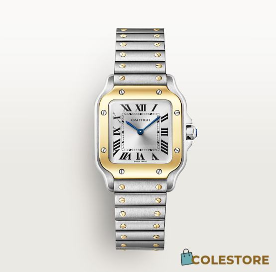 Colestore Santos De Cartier Watch, Quartz movement, Yellow gold and Steel - 1