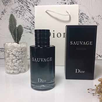 Colestore Dior Sauvage Parfum for Men 100ml