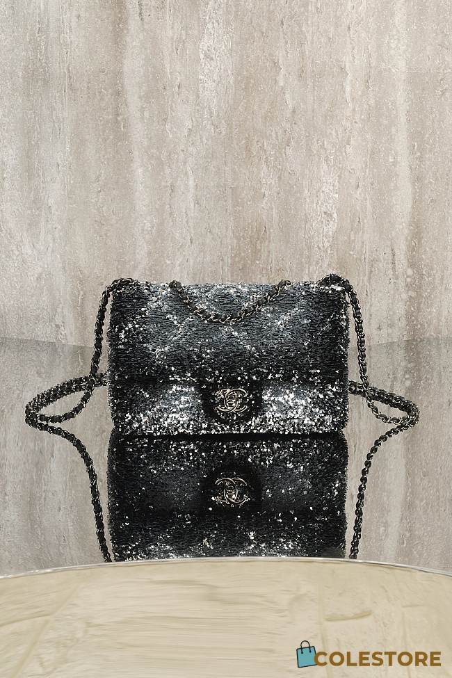 Colestore Chanel Flap bag  Quilted Gradient Sequins & Ruthenium-Finish Metal Silver & Black 21x8x14cm - 1