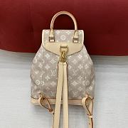Colestore Louis Vuitton Montsouris PM Backpack M15135 30 x 28 x 18cm - 6