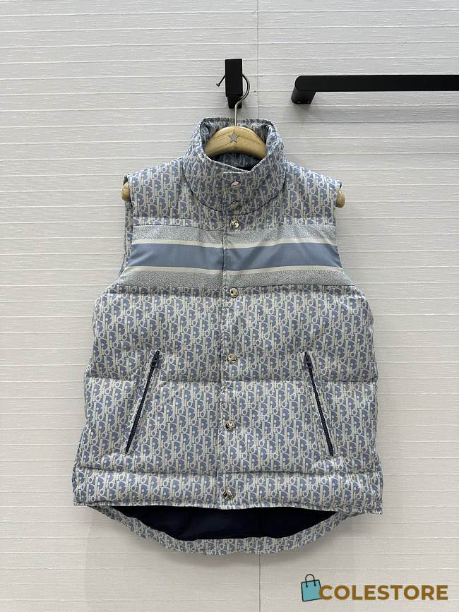 Colestore Dior DiorAlps Puffer Vest Blue and White Dior Oblique Quilted Technical Taffeta - 1