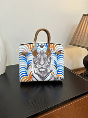 Colestore Hermes Birkin 20 Printed Togo Leather in Gold with Palladium Hardware 20cm - 3
