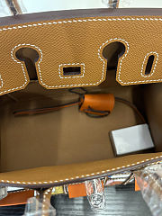 Colestore Hermes Birkin 20 Printed Togo Leather in Gold with Palladium Hardware 20cm - 2