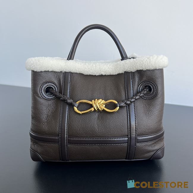 Colestore Bottega Veneta  Andiamo Small Leather Shearling Top-Handle Bag 25x22x10.5 - 1