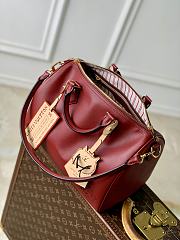 Colestore Louis Vuitton Speedy Soft 30 Plum Calfskin leather 21 x 17 x 30 cm - 5