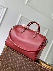Colestore Louis Vuitton Speedy Soft 30 Plum Calfskin leather 21 x 17 x 30 cm - 3