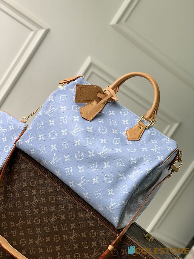 Colestore Louis Vuitton Speedy P9 Bandoulière 40 Light Blue 40 x 26 x23cm - 1