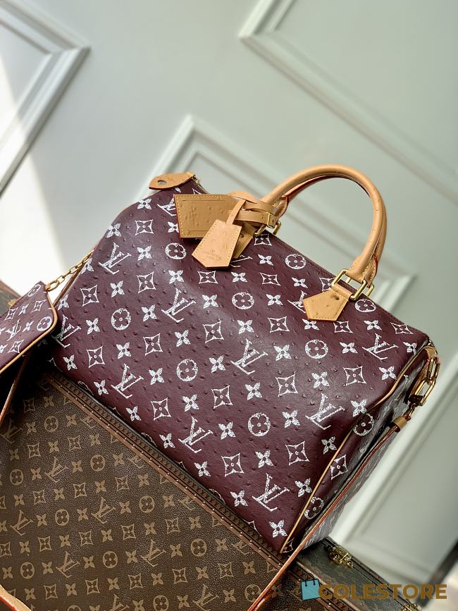 Colestore Louis Vuitton Speedy P9 Bandoulière 40 Garnet 40 x 26 x23cm - 1