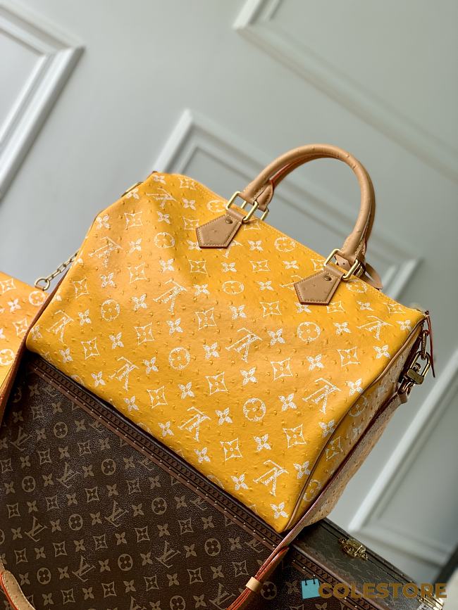 Colestore Louis Vuitton Speedy P9 Bandoulière 40 Jaune Mat 40 x 26 x23cm - 1
