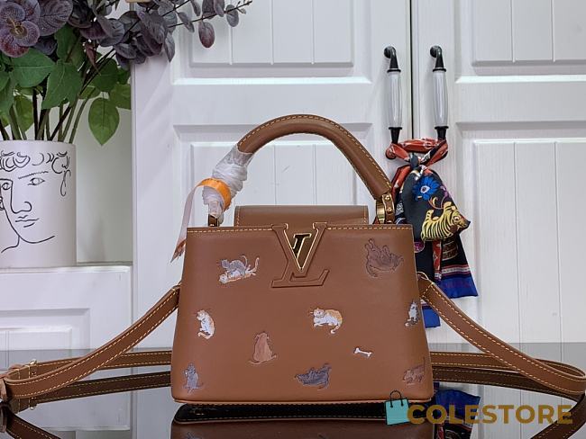 Colestore Louis Vuitton Capucines Mini Tan Calfskin Leather M25874 21x14x8cm - 1