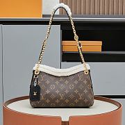 Colestore Louis Vuitton LV Ski CarryAll BB Monogram Shearling M26568 26 x 17 x 10 cm - 1