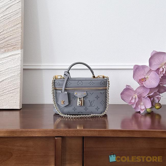 Colestore Louis Vuitton Vanity Chain Pouch Grey M12427 19x11.5x6.5cm - 1