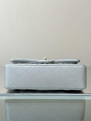 Colestore Chanel Classic Flap Bag Metalic Silver Caviar Leather 23x14.5x6cm - 6