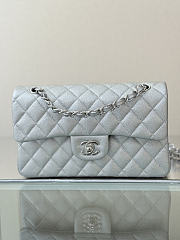 Colestore Chanel Classic Flap Bag Metalic Silver Caviar Leather 23x14.5x6cm - 3