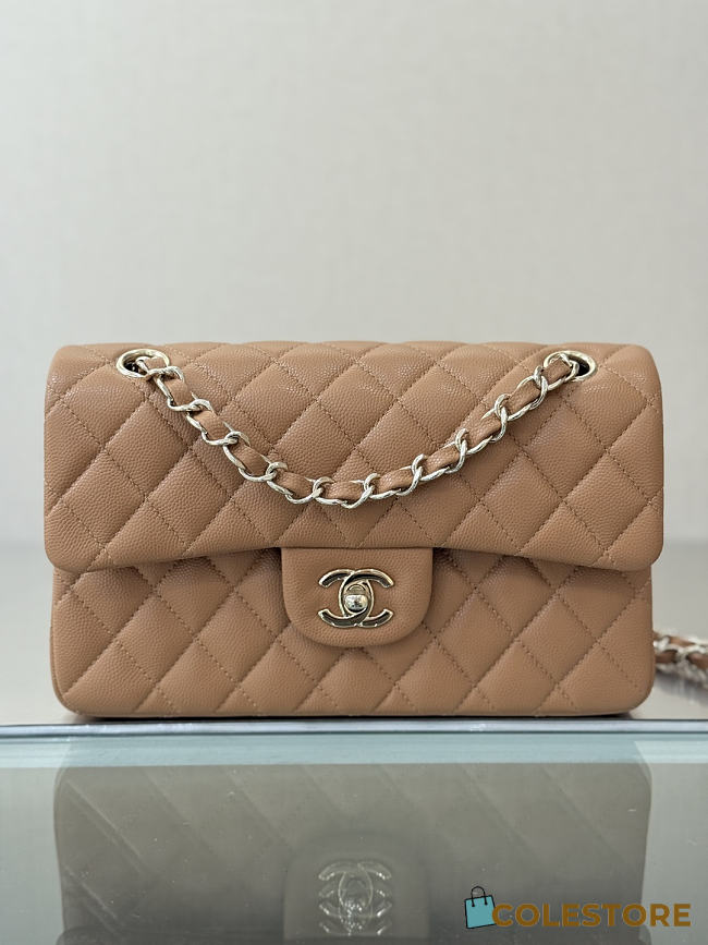 Colestore Chanel Classic Flap Bag Dark Beige Caviar Leather 23x14.5x6cm - 1