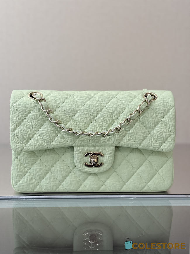Colestore Chanel Classic Flap Bag Mint Green Caviar Leather 23x14.5x6cm - 1