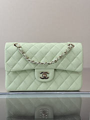 Colestore Chanel Classic Flap Bag Mint Green Caviar Leather 23x14.5x6cm - 1