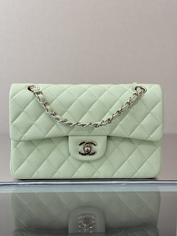 Colestore Chanel Classic Flap Bag Mint Green Caviar Leather 23x14.5x6cm
