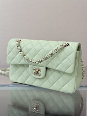 Colestore Chanel Classic Flap Bag Mint Green Caviar Leather 23x14.5x6cm - 5