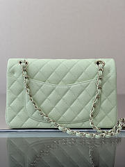 Colestore Chanel Classic Flap Bag Mint Green Caviar Leather 23x14.5x6cm - 2