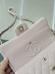 Colestore Chanel Classic Flap Bag Rose Sakura Caviar Leather 23x14.5x6cm - 4