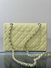 Colestore Chanel Classic Flap Bag Sorbet Yellow Caviar Leather 23x14.5x6cm - 2