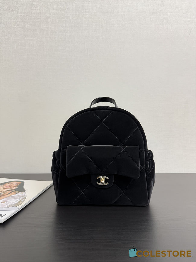 Colestore Chanel Backpack Suede & Gold Metal Black  22 x 22.5 x 8.5cm - 1